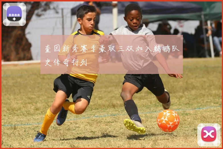 奎因新秀赛季豪取三双加入鹈鹕队史传奇行列