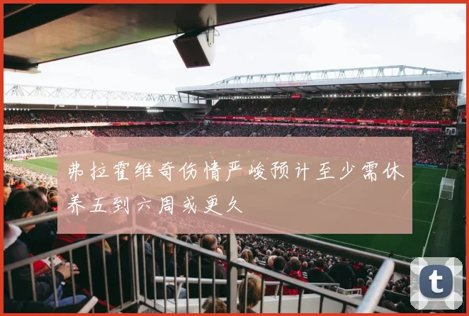 弗拉霍维奇伤情严峻预计至少需休养五到六周或更久