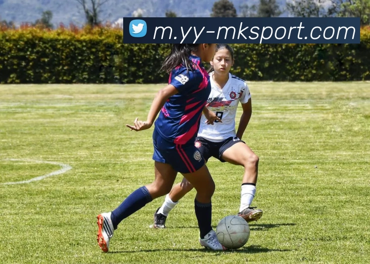 MK体育发展历程